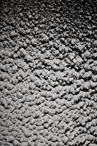 Snow on a fence at night